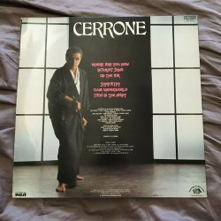 Обложка Cerrone - Your Love Survived