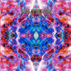 Filteria - Reflected