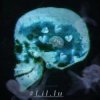 Lil'Lu - 