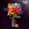 Rocco Vice - Rosemarie