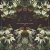 Lost World - Stargazer