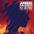 Armin van Buuren feat. Mr. Probz - Another You (Headhunterz Remix)
