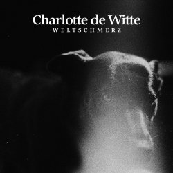 Обложка Charlotte De Witte - Weltschmerz (Melodic Theme)