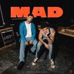 Обложка Martin Garrix & Lauv - MAD (Dj Vianu Remix)