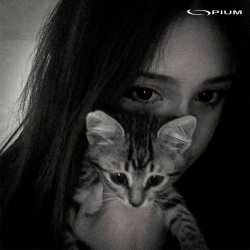 Обложка AYSELU feat. Anjee & Lextone - Останови 2.0