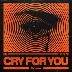 Обложка Ilyaa - Cry for You