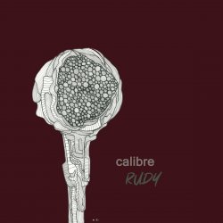 Cover Calibre - Heaven