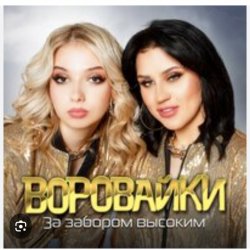 Обложка Воровайки - Рожа протокольная