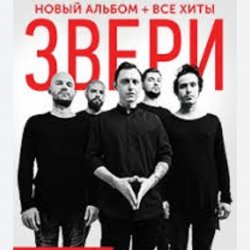 Обложка Рома Зверев - Все что тебя касается