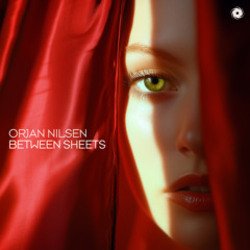 Обложка Orjan Nilsen - Between The Rays