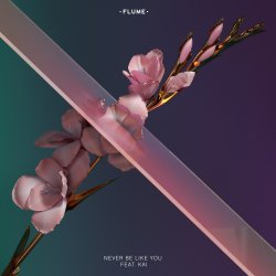 Обложка Flume - Never Be Like You (Feat. Kai)