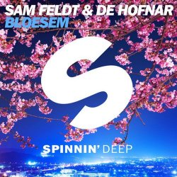 Обложка Sam Feldt & De Hofnar - Bloesem