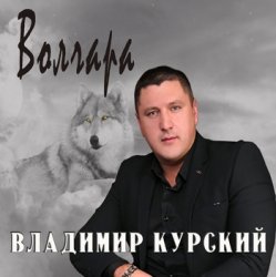 Обложка Владимир Курский - Дождь