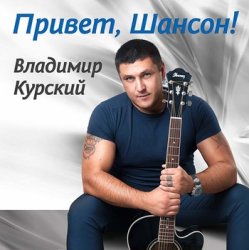 Обложка Владимир Курский - Жиган