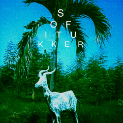 Обложка Sofi Tukker - Drinkee (Mahmut Orhan Remix)