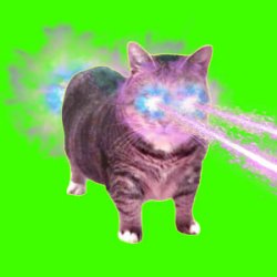 Обложка XertXetin - OIIA OIIA COSMIC CAT (Sped Up)