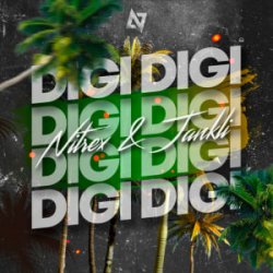 Обложка Dj Nitrex & Jankli - Digi Digi