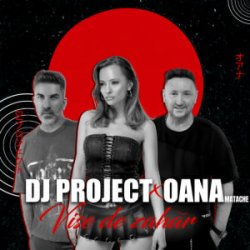 Обложка DJ Project & Oana Matache - Vise de Zahar
