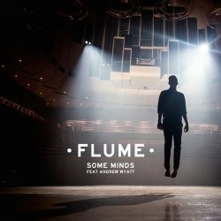 Обложка Flume - Some Minds (Feat. Andrew Wyatt)