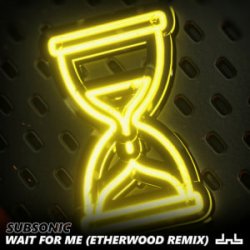 Обложка Subsonic - Wait For Me (Etherwood Remix)