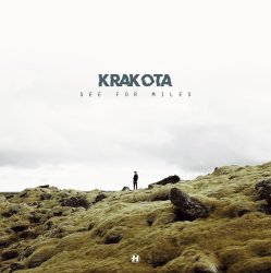 Обложка Krakota - Callback