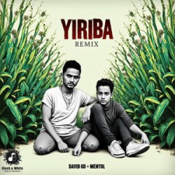 Обложка David 6D & Mentol - Yiriba (Remix)