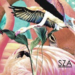 Обложка SZA - Castles