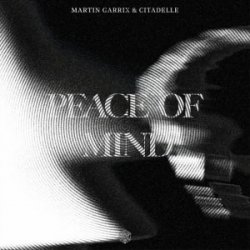 Обложка Martin Garrix & Citadelle - Peace Of Mind