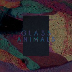 Обложка Glass Animals - Exxus
