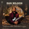 Dan Wilson - Bird of Beauty