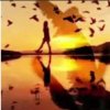 Soul 8 -      