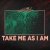 The Strike - Take Me As I Am
