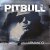 Pitbull feat. Papayo - Armando