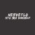 NESVETLO -   