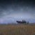 Trepha - 