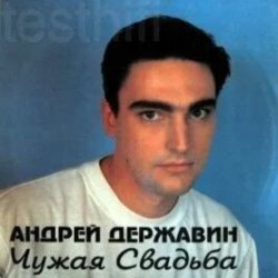 Обложка Андрей Державин - Чужая свадьба
