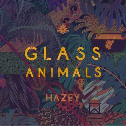 Обложка Glass Animals - Hazey