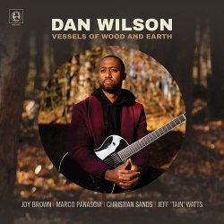Обложка Dan Wilson - Bird of Beauty