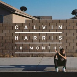 Обложка Calvin Harris & Example - We'll Be Coming Back (Dj Dark & Huge Carter Remix)
