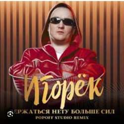 Обложка Игорек - Держаться нету больше сил