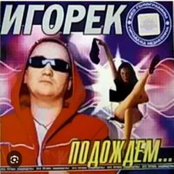 Обложка Игорек - Подождем