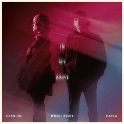 Обложка ILLENIUM & HAYLA & Wooli - In My Arms (Wooli Remix)