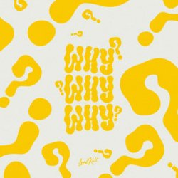 Обложка Tanaka & Lucas Estrada - WHY?