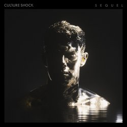 Обложка Culture Shock - White Nights