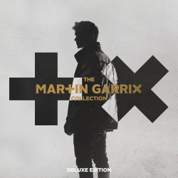 Обложка Martin Garrix & Bebe Rexha - In The Name Of Love