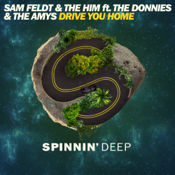 封面 Sam Feldt & The Him ft. The Donnies The Amys - Drive You Home (Original Mix)
