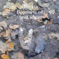 Обложка Вороняче око - котята (prod. anticøn)