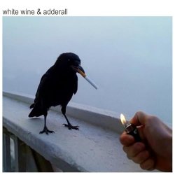 Обложка The Chainsmokers & Beau Nox - White Wine & Adderall