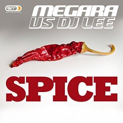 Обложка Megara vs. DJ Lee - Spice (Single Edit)