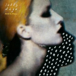 Обложка Sally Dige - Hard To Please